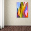 Trademark Fine Art Amy Vangsgard 'Dappled Light 3' Canvas Art, 18x24 AV0101-C1824GG